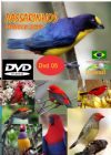 DVD 05 - P�ssaros Livres - Sons P�ssaros Brasil
